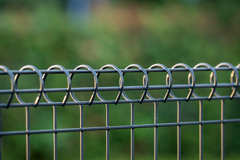 DSC04915. fence