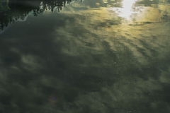 DSC03458 川は流れる