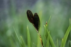 DSC00071. 草原情歌を想う