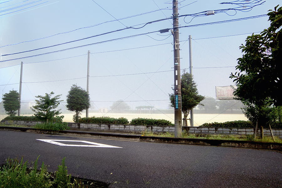 DSC02853. 霧の降りた朝