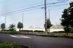 DSC02853. 霧の降りた朝