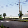 DSC02853. 霧の降りた朝