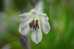 当家は六人家族です