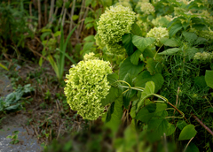 DSC09359. 休息