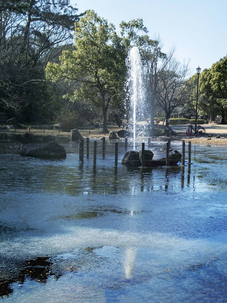 凍てつく池　P1060194