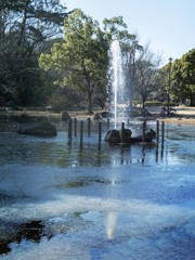 凍てつく池　P1060194