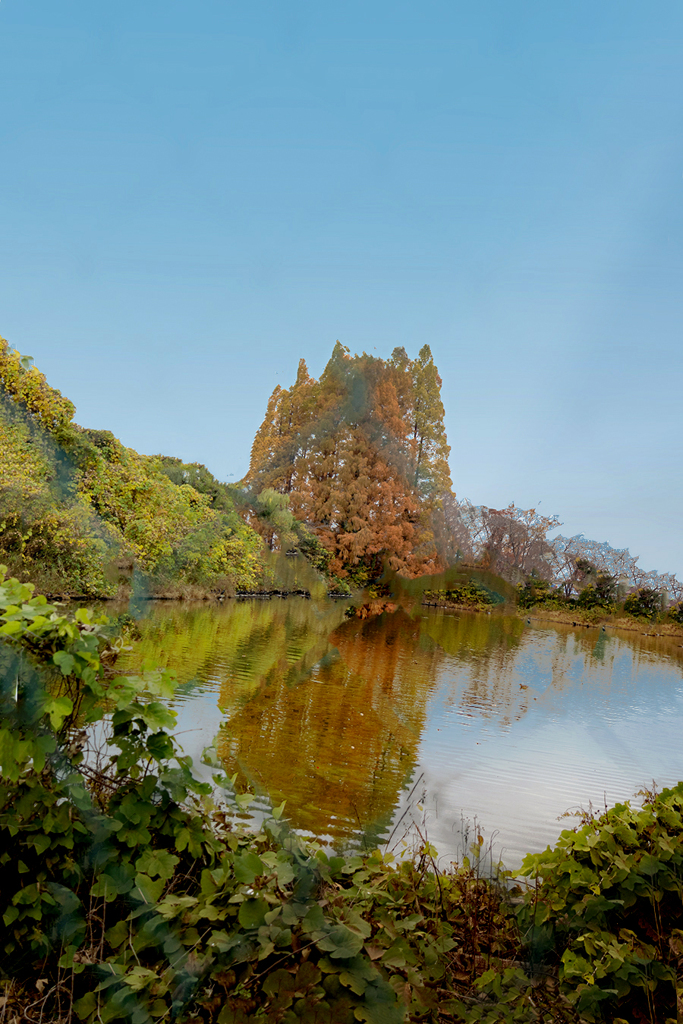 砦の如く　　DSC02996