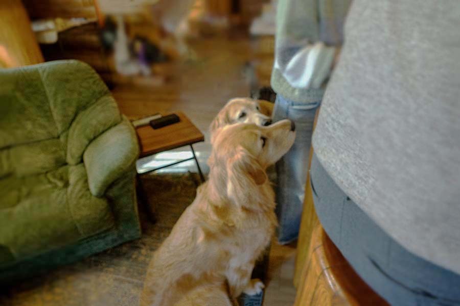 おやつを待つ良い子　DSC03153