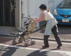 DSC05575. 巣鴨の午後もよう