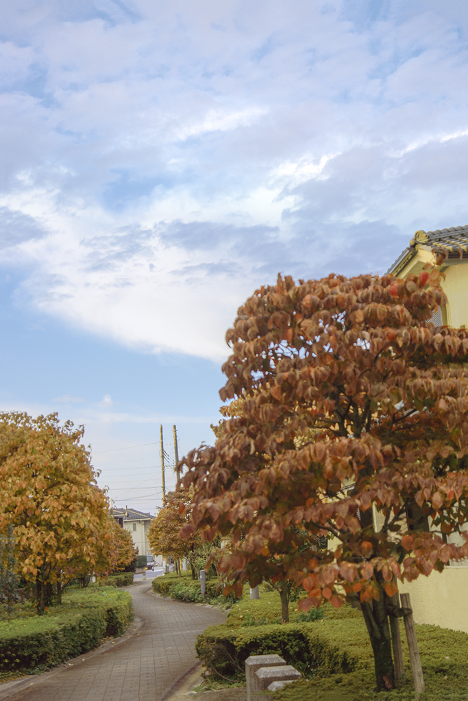 十月の朝　DSC02894