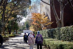 DSC09957. 散策路の晩秋