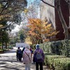 DSC09957. 散策路の晩秋