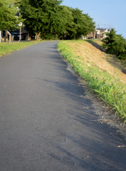 DSC09132. 土手の朝もよう