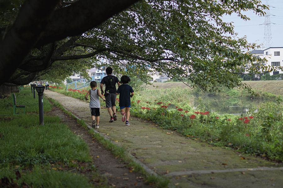 DSC05357. 秋の朝