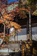 DSC04819-紅葉20番