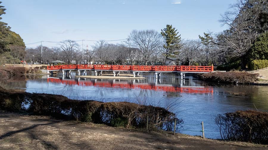 岩槻城址公園　P1060165