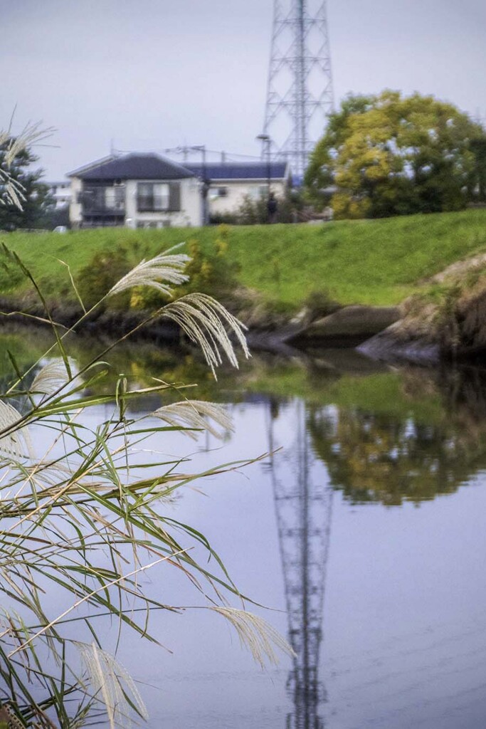 DSC04161 初冬の川もよう