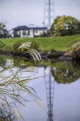 DSC04161 初冬の川もよう DSC04161 初冬の川もよう