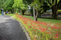 DSC02815. 水元公園にて