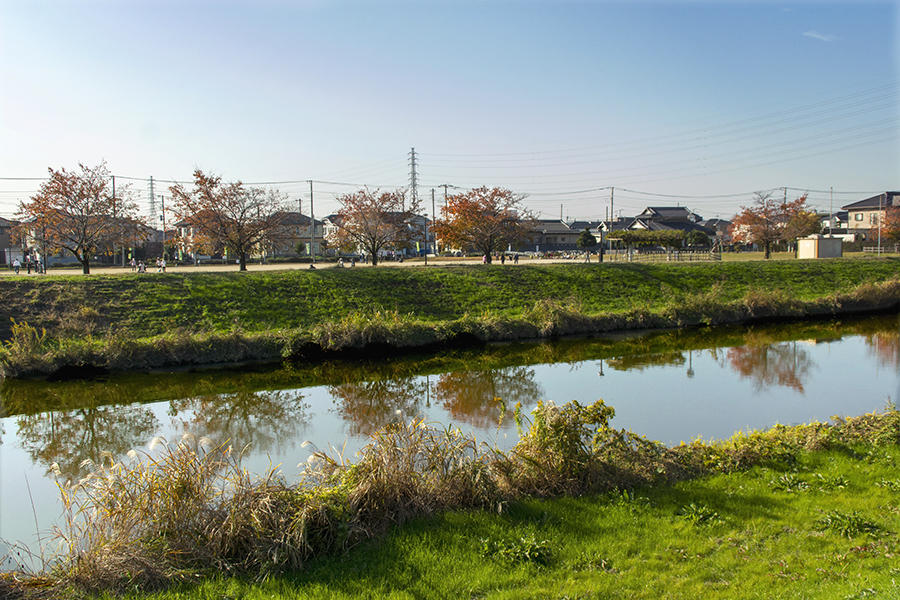 DSC00338 秋を映す川の朝