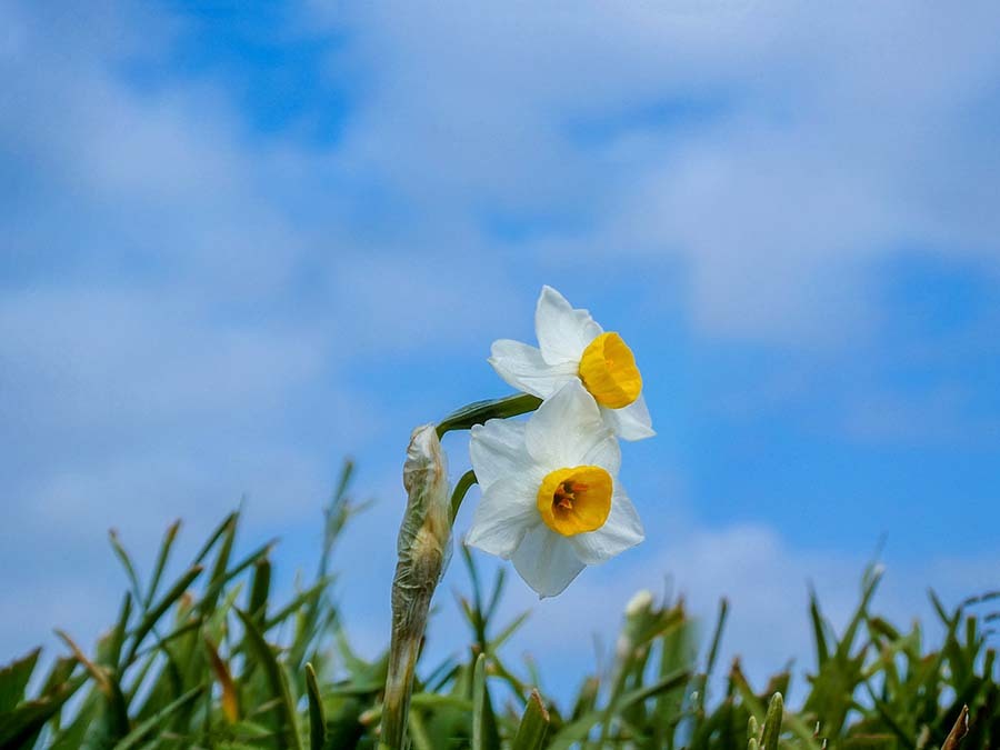 そよ風と私たち　P1060031