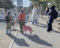 ワンちゃんに喜ぶ　P1060208
