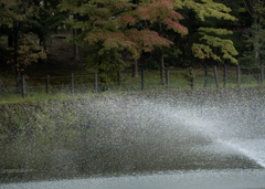 池辺の水しぶき