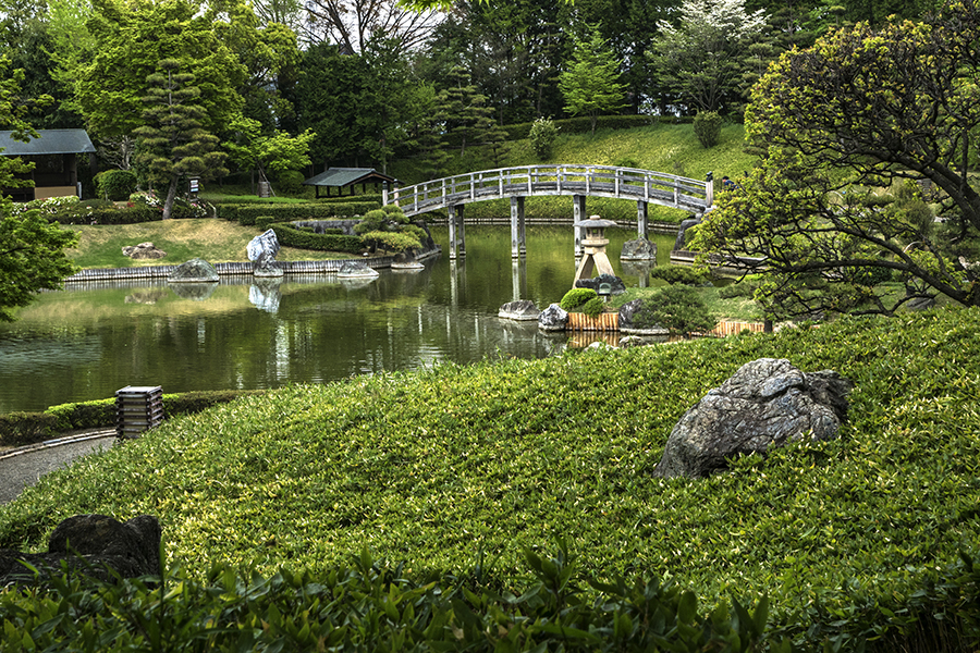 DSC00903 花田園の池-2