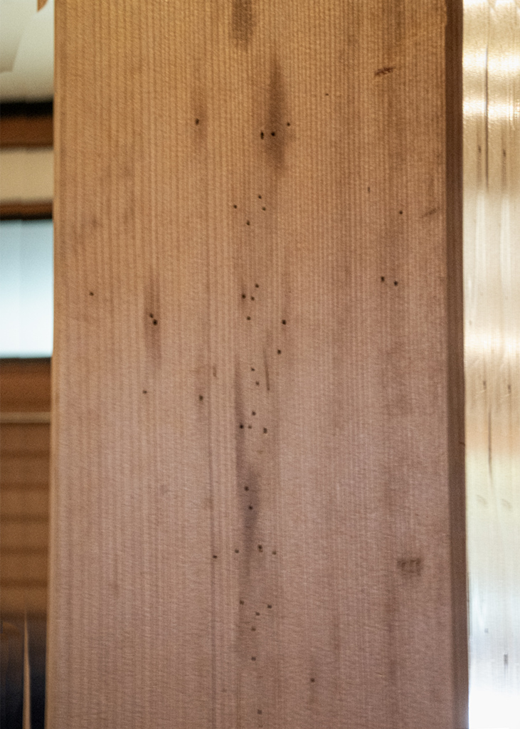 DSC08899. 柱の傷の謂(いわ)れ