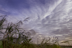 十一月の朝  DSC04214.