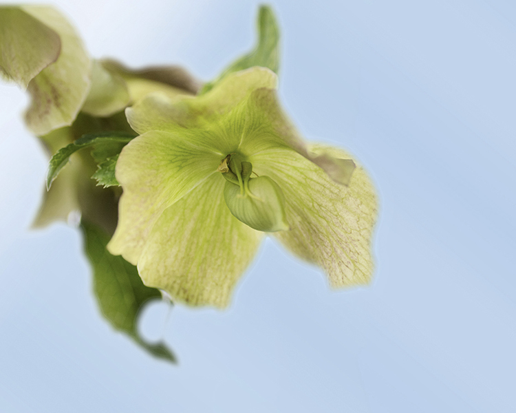 DSC06049 四月の朝