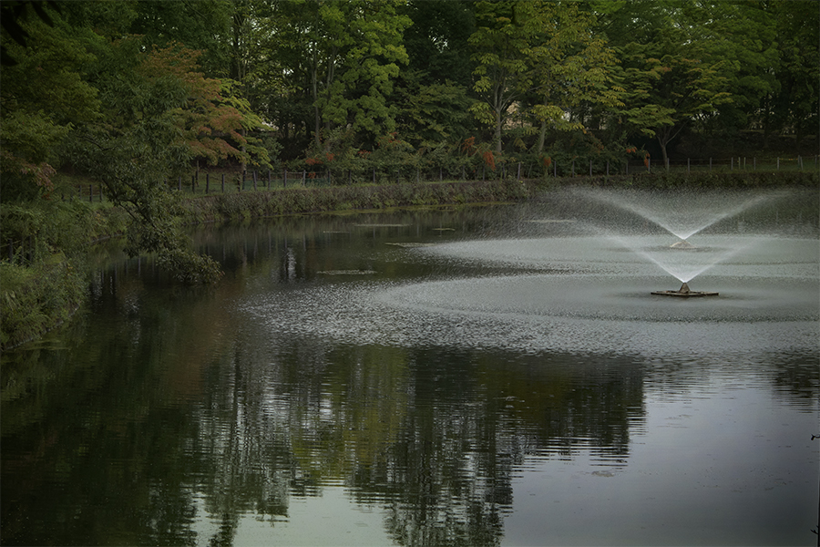 市立公園に公園に秋が来た