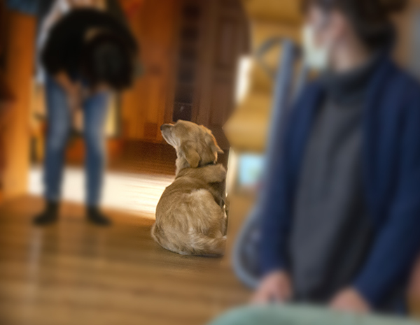 DSC04033 　良い子ね