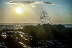 DSC07449. 荒崎海岸の怒涛