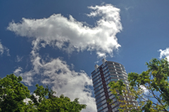 丘の上の白い雲
