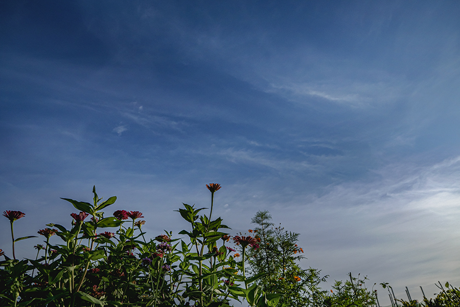 DSC03878. 秋空の空模様