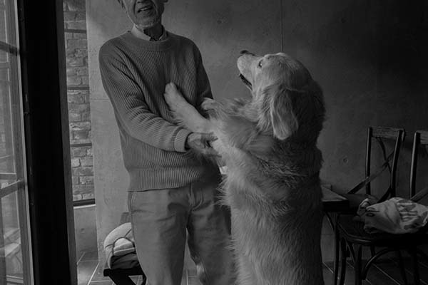 DSC01684 ワンちゃんの歓迎の仕方