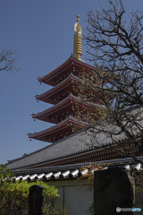 青空と伽藍