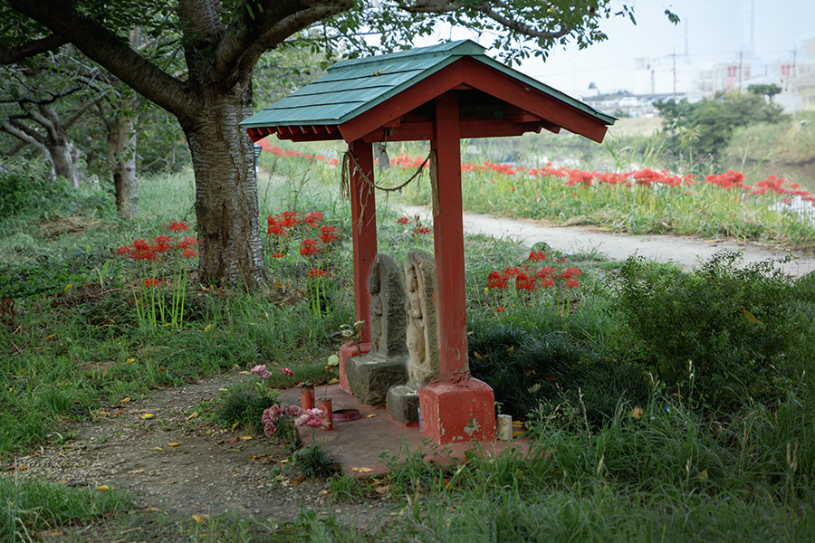 DSC05498. 馬頭観音地蔵