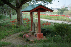 DSC05498. 馬頭観音地蔵