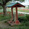 DSC05498. 馬頭観音地蔵