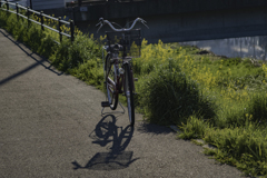 遊歩道と自転車