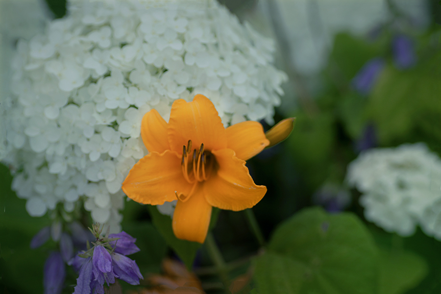 DSC08910. 私も写して