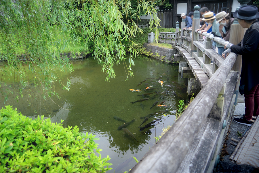DSC01638. 忍城にて