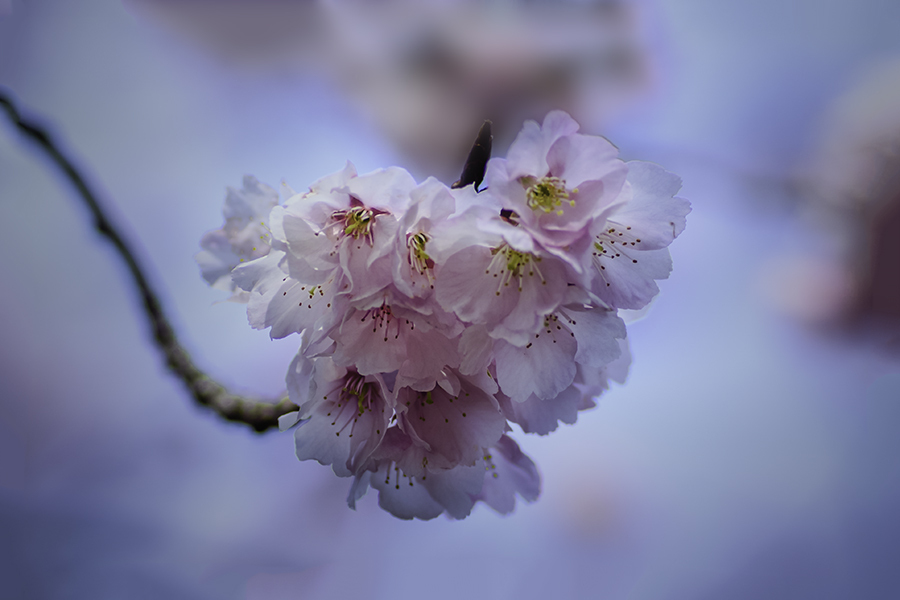 DSC07974. 窓の下には神田川