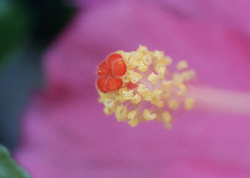 DSC04891. 初秋