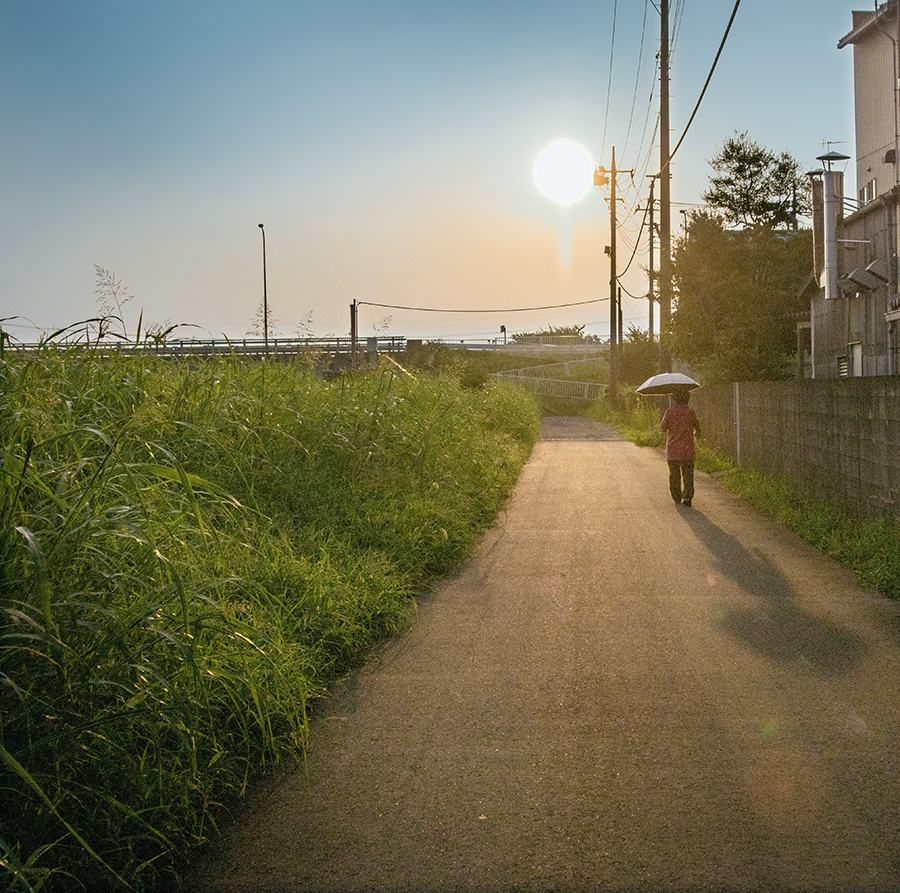 DSC00361. 夏の旅人