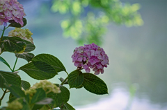 そうか公園池前にて