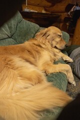 くつログハウスにて　　DSC03202