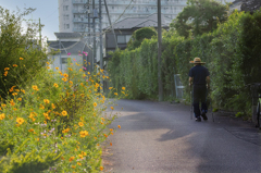 DSC03497  秋の散策路を行く人